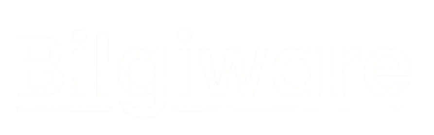 Bilgiware Logo